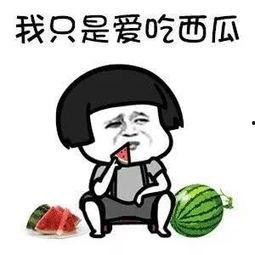 娱乐吃圈瓜