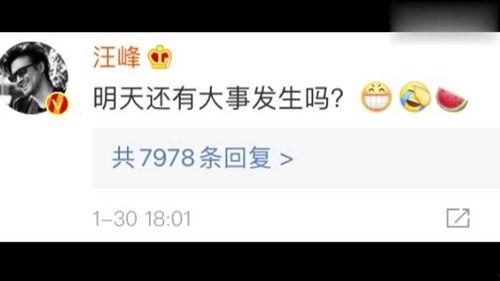 娱乐吃瓜开场白是什么,揭秘明星幕后那些吃瓜趣事
